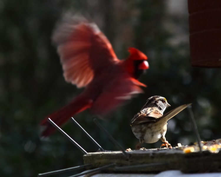 2013 02 17 IMG 5436e